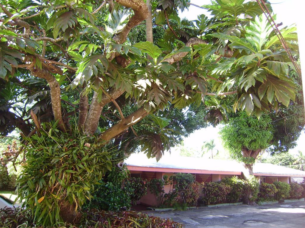 Angler Apartments Saint James Luaran gambar